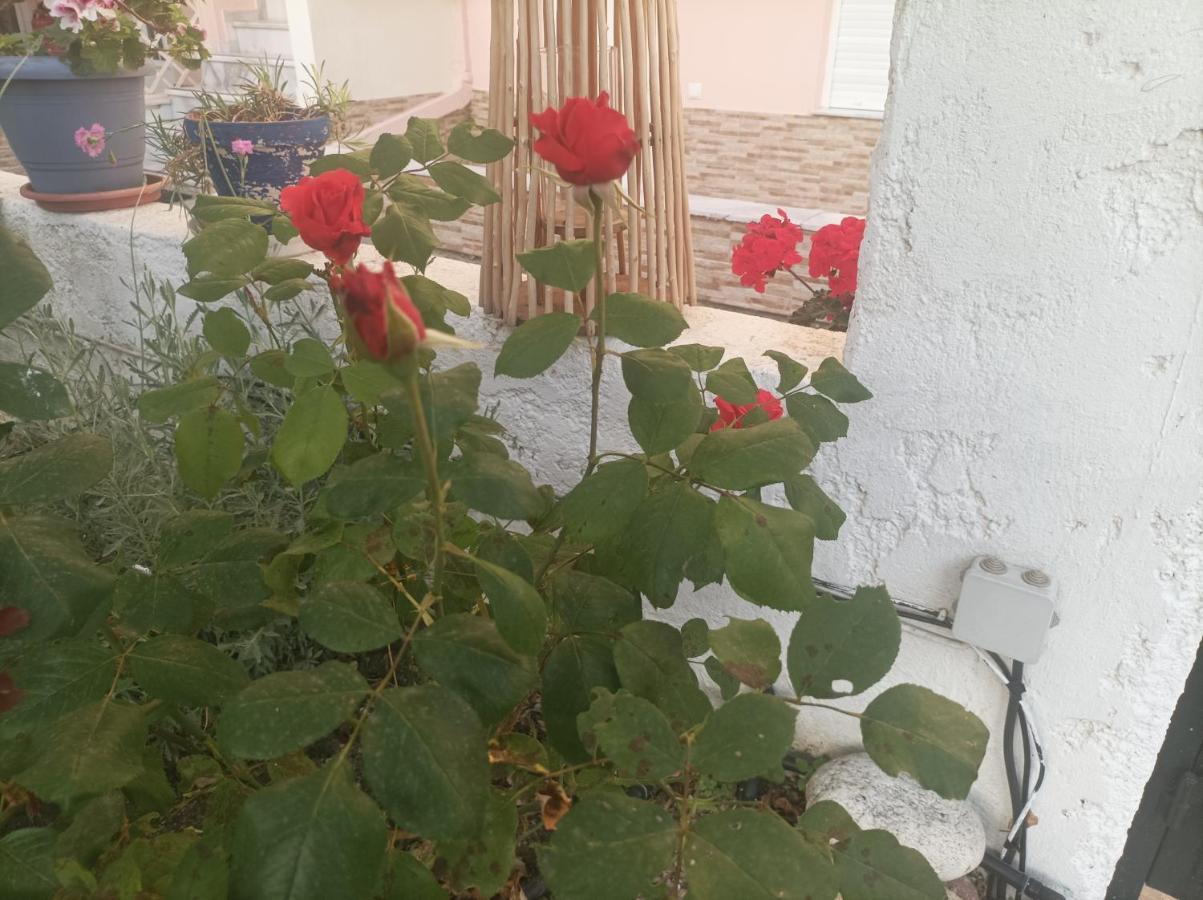 Filomeni Studios Pefkochori Luaran gambar